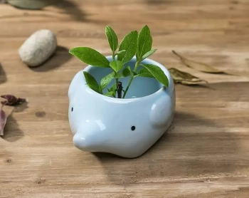 Ceramic Cartoon Hedgehog Pig Elephant With Bottom Hole Succulent Flower Pot (Option: Elephant)